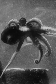 Fathoms Deep Beneath the Sea Trailer