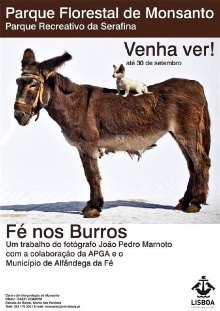 Fé nos Burros Trailer
