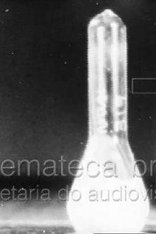 Febre Amarela I Trailer