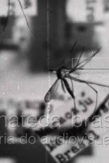 Febre Amarela II Trailer