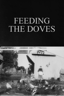 Feeding the Doves Trailer
