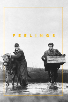 Feelings Trailer