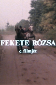 Fekete rózsa Trailer