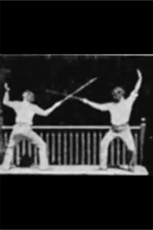Fencing Trailer