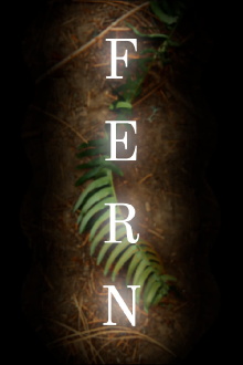 FERN Trailer