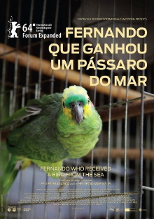 Fernando Who Received a Bird from the Sea Trailer