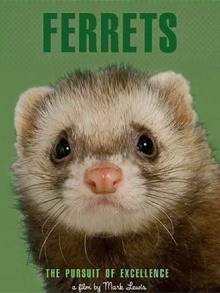 Ferrets Trailer