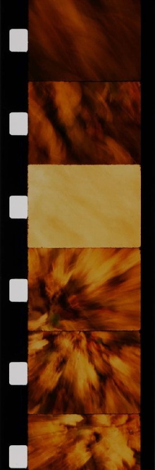 Feuilles Trailer