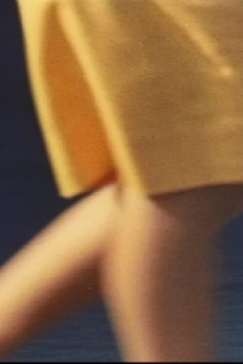 Fibers from the Sun Trailer