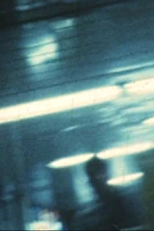 Field Feet Trailer