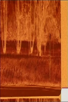 Fields Of Grain Trailer