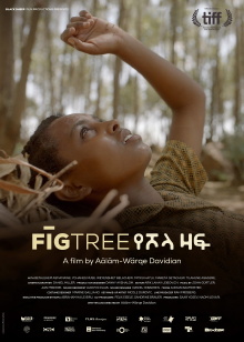 Fig Tree Trailer
