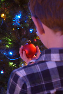 Figgy Pudding Trailer