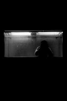 FILM Trailer
