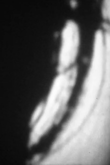Film digitalia, No. 15 Trailer