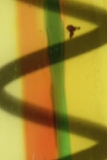 Film n. 13 Trailer