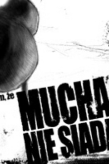 Film, że mucha nie siada Trailer