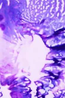 Filmabuse Trailer