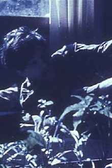 Films by Stan Brakhage: An Avant-Garde Home Movie Trailer