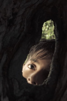 Finding fireflies Trailer