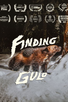 Finding Gulo Trailer