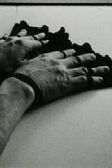 Fingerfächer Trailer