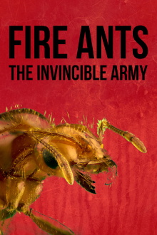 Fire Ants 3D: The Invincible Army Trailer