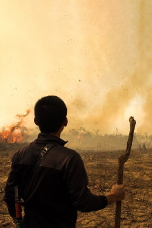 Fire At Forest Trailer
