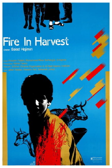 Fire in the Harvest Trailer