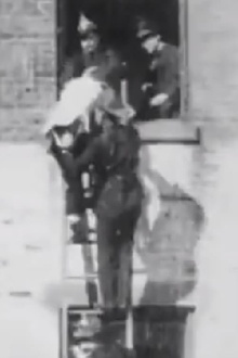 Firemen Rescuing Men and Women Trailer
