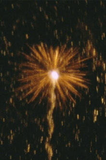 Fireworks Trailer