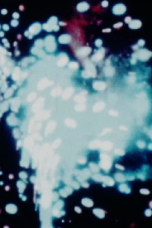 Fireworks Trailer