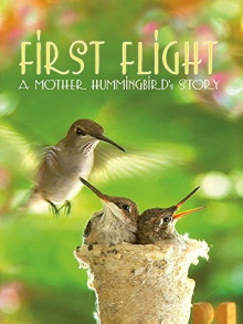 First Flight: A Mother Hummingbird's Story Trailer