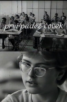 First Grammatical Case: Human Trailer