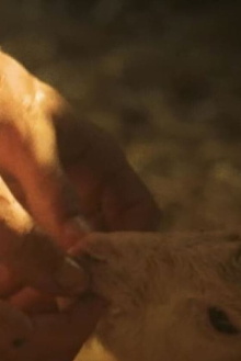 First Milk Trailer