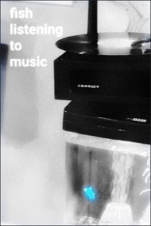 Fish Listening To Music Trailer