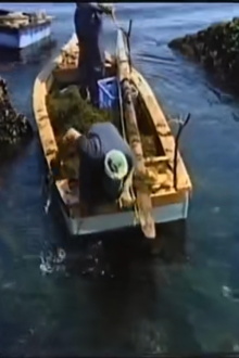 Fishing Moon Trailer
