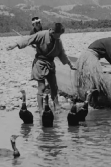 Fishing with Cormorants. Isle of Yeso, Japan Trailer