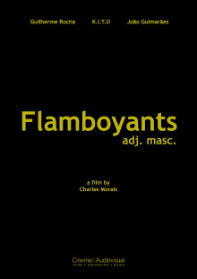 Flamboyants Trailer