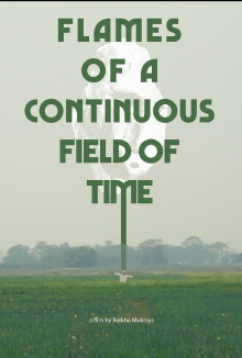 Flames of a Continuous Field of Time Trailer