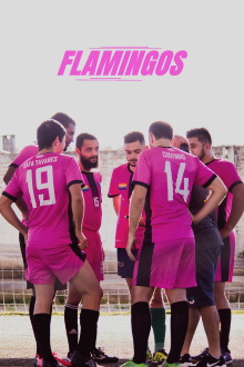 Flamingos Trailer