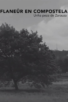 Flanêur en Compostela Trailer