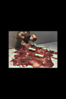 Flesh Trailer