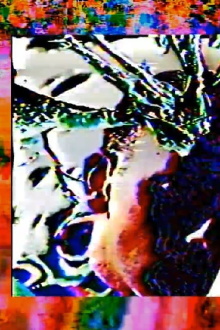 Flesh Intolerance: Final Transmission For Terrestrial Vertical Incarceration (A hyperstition) Trailer