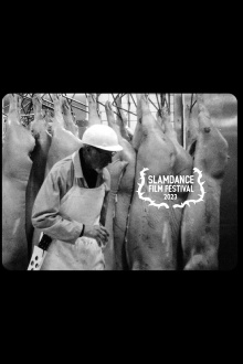 Fleshwork Trailer