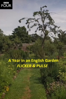 Flicker & Pulse Trailer