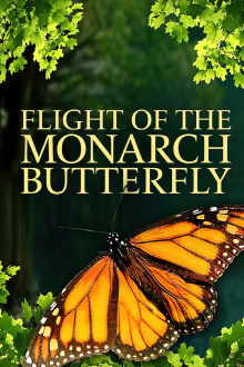 Flight of the Monarch Butterfly Trailer