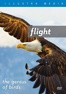 Flight: The Genius of Birds Trailer