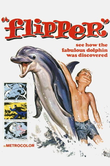 Flipper Trailer