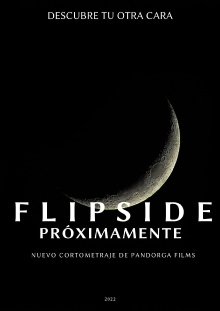 Flipside Trailer